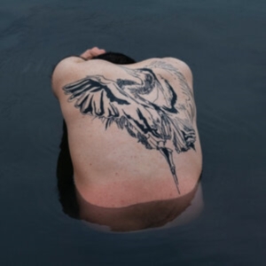 Jodi - Blue Heron (Metallic Silver Vinyl) in der Gruppe VINYL / Pop-Rock bei Bengans Skivbutik AB (4009031)