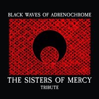 Various Artists - Sisters Of Mercy Tribute in der Gruppe CD / Hårdrock,Svensk Musik bei Bengans Skivbutik AB (4010941)