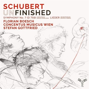 Harnoncourt - Schubert & Haydn in der Gruppe CD bei Bengans Skivbutik AB (4011008)
