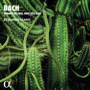 Bach Johann Sebastian - Trio Sonatas For Organ, Bwv 525-530 in der Gruppe CD bei Bengans Skivbutik AB (4011325)