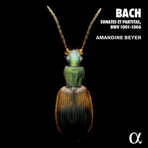 Bach Johann Sebastian - 6 Violin Sonatas And Partitas, Bwv in der Gruppe Externt_Lager / Naxoslager bei Bengans Skivbutik AB (4011326)