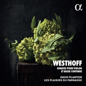 Von Westhoff Johann Paul - Sonates Pour Violon Et Basse Contin in der Gruppe CD bei Bengans Skivbutik AB (4011337)