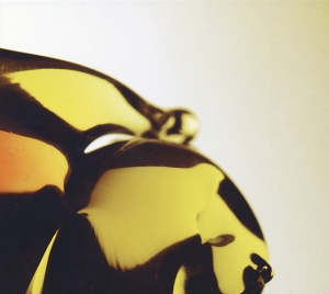 Hooray For Earth - True Loves in der Gruppe CD / Pop-Rock bei Bengans Skivbutik AB (4011448)