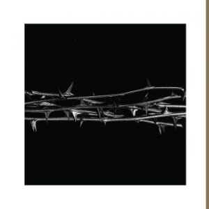 Amenra - De Doorn in der Gruppe CD / Hårdrock/ Heavy metal bei Bengans Skivbutik AB (4011460)