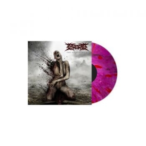 Ingested - Surreption Ii (Pink & Purple Vinyl) in der Gruppe VINYL bei Bengans Skivbutik AB (4012483)
