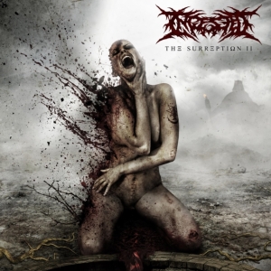 Ingested - Surreption Ii in der Gruppe CD / Hårdrock bei Bengans Skivbutik AB (4012676)