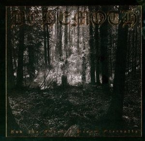 Behemoth - And The Forests Dream.. in der Gruppe Labels /  bei Bengans Skivbutik AB (4013694)