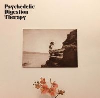 Psychedelic Digestion Therapy - Psychedelic Digestion Therapy in der Gruppe VINYL / Pop-Rock bei Bengans Skivbutik AB (4014092)