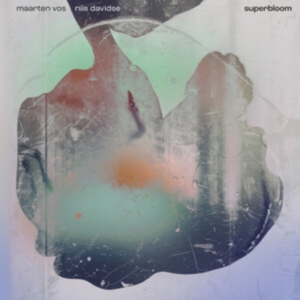 Maarten Vos & Nils Davidse - Superbloom (Crystal Clear Vinyl) in der Gruppe VINYL / Pop-Rock bei Bengans Skivbutik AB (4014093)