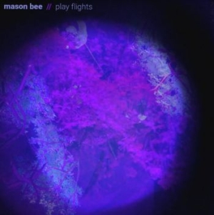 Bee Mason - Play Flights in der Gruppe VINYL / Rock bei Bengans Skivbutik AB (4014102)
