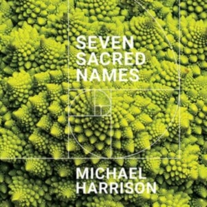 Harrison Michael - Seven Sacred Names in der Gruppe CD / Klassiskt bei Bengans Skivbutik AB (4014216)
