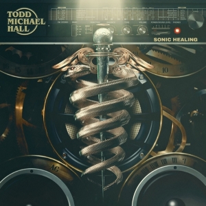Todd Michael Hall - Sonic Healing in der Gruppe VINYL / Hårdrock bei Bengans Skivbutik AB (4014616)