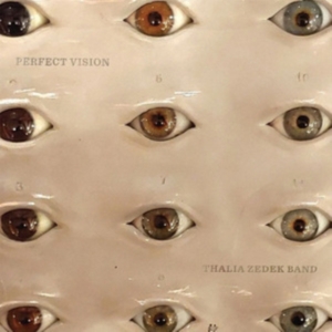 Thalia Zedek Band - Perfect Vision in der Gruppe VINYL / Pop-Rock bei Bengans Skivbutik AB (4015575)