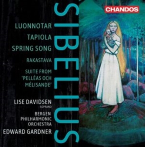 Sibelius Jean - Orchestral Works in der Gruppe MUSIK / SACD / Klassiskt bei Bengans Skivbutik AB (4017851)
