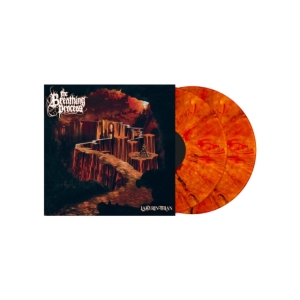 Breathing Process - Labyrinthian in der Gruppe VINYL / Hårdrock bei Bengans Skivbutik AB (4020541)