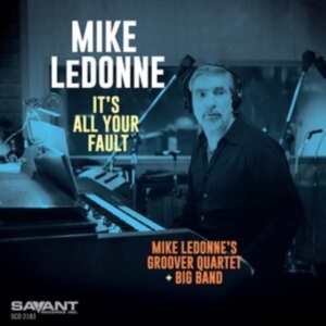 Ledonne Mike - It's All Your Fault in der Gruppe Övrigt /  bei Bengans Skivbutik AB (4020570)