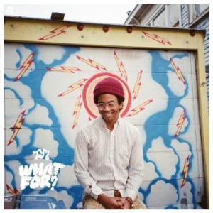 Toro Y Moi - What For? (Lim. Ed. Coloured Vinyl) in der Gruppe VINYL / Pop bei Bengans Skivbutik AB (4022222)