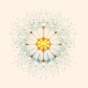 Charlie Charlie - Litte Things in der Gruppe VINYL bei Bengans Skivbutik AB (4023022)