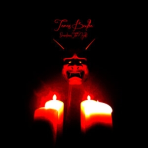 TARAS BULBA - SOMETIMES THE NIGHT in der Gruppe VINYL bei Bengans Skivbutik AB (4027366)