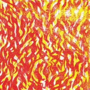 The Bug - Fire in der Gruppe VINYL / Dance-Techno bei Bengans Skivbutik AB (4029970)