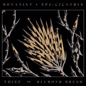 Botanist / Thief - Cicatrix / Diamond Brush in der Gruppe CDON_Kommande / CDON_Kommande_CD bei Bengans Skivbutik AB (4031985)