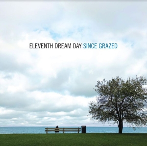 Eleventh Dream Day - Since Grazed in der Gruppe VINYL / Hårdrock,Pop-Rock bei Bengans Skivbutik AB (4034192)