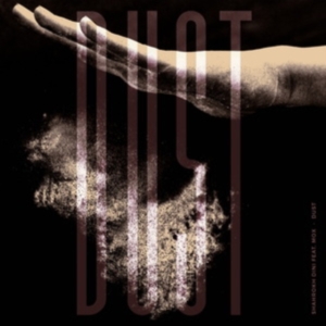 Dini Shahrokh Feat Mox - Dust in der Gruppe VINYL / Dance-Techno bei Bengans Skivbutik AB (4035358)