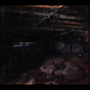 Medeski John - Crawlspace in der Gruppe CD / Pop-Rock bei Bengans Skivbutik AB (4035448)