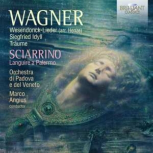 Sciarrino Salvatore Wagner Richa - Wagner & Sciarrino: Works in der Gruppe Externt_Lager / Naxoslager bei Bengans Skivbutik AB (4036449)