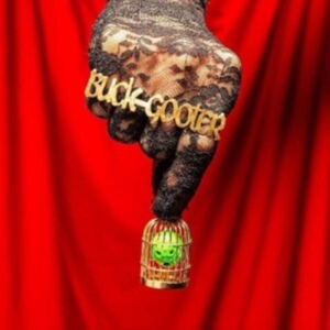 Buck Gooter - Head In A Bird Cage in der Gruppe VINYL / Pop-Rock bei Bengans Skivbutik AB (4036692)