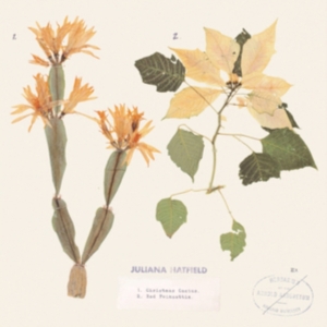 Hatfield Juliana - Christmas Cactus / Red Poinsettia (Color in der Gruppe UNSERE TIPPS / Record Store Day / RSD2013-2020 bei Bengans Skivbutik AB (4038299)