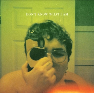 Alien Boy - Don't Know What I Am in der Gruppe CD bei Bengans Skivbutik AB (4039885)