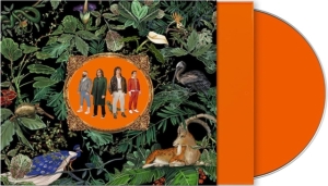 DON BROCO - AMAZING THINGS in der Gruppe CD / Pop-Rock bei Bengans Skivbutik AB (4040894)