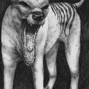 Orochen - Thylacine in der Gruppe Labels / Bengans Vertrieb bei Bengans Skivbutik AB (4041960)