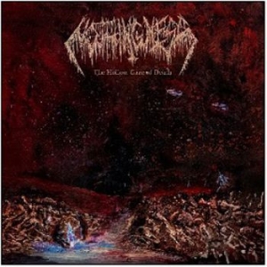 Nothingness - Hollow Gaze Of Death in der Gruppe CD bei Bengans Skivbutik AB (4042519)