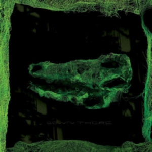 Avey Tare - Down There in der Gruppe VINYL / Pop-Rock bei Bengans Skivbutik AB (4042632)