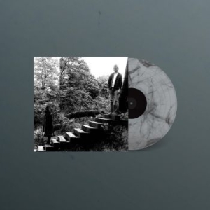 Timber Timbre - Timber Timbre in der Gruppe VINYL / Pop-Rock bei Bengans Skivbutik AB (4044134)