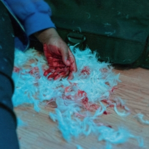 Kaonashi - Dear Lemon House, You Ruined Me: Se in der Gruppe CD / Hårdrock bei Bengans Skivbutik AB (4044197)