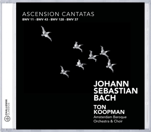 Amsterdam Baroque Orchestra & Ton Koopman - Bach: Ascension Cantatas in der Gruppe Övrigt /  bei Bengans Skivbutik AB (4045613)