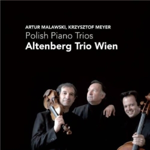 Altenberg Trio Wien - Polish Piano Trios in der Gruppe CD bei Bengans Skivbutik AB (4045681)