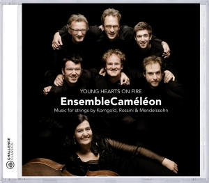 Ensemble Cameleon - Young Hearts On Fire in der Gruppe CD bei Bengans Skivbutik AB (4045990)