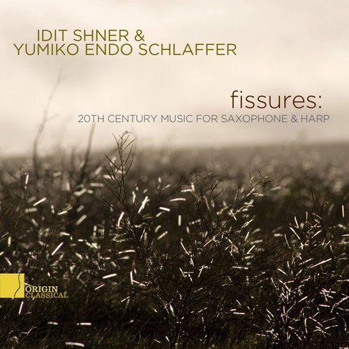 Sher Idit/Yumiko Endo Schlaffer - Fissures: 20Th Century.. in der Gruppe CD / Övrigt bei Bengans Skivbutik AB (4046244)