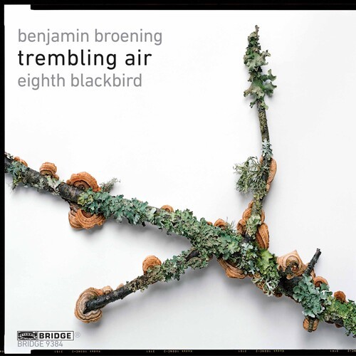 Trembling Air - Eighth Blackbird in der Gruppe CD / Klassiskt bei Bengans Skivbutik AB (4046314)