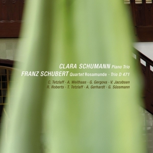 Schubert - Rosamunde Quartet/Piano Trio in der Gruppe CD bei Bengans Skivbutik AB (4046526)