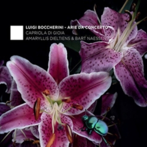 Carmina Quartet & Rolf Lisleva - Arie Da Concerto in der Gruppe CD / Klassiskt,Övrigt bei Bengans Skivbutik AB (4048090)