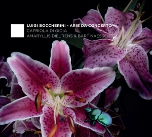 Carmina Quartet & Rolf Lisleva - Arie Da Concerto in der Gruppe CD bei Bengans Skivbutik AB (4048090)