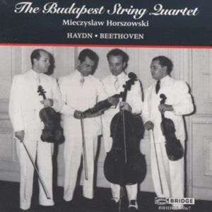 Haydn/Beethoven - Quartets in der Gruppe CD / Klassiskt,Övrigt bei Bengans Skivbutik AB (4049766)