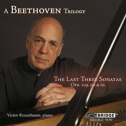 Beethoven Ludwig Van - Last 3 Sonatas in der Gruppe CD / Klassiskt bei Bengans Skivbutik AB (4049909)