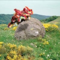Joakim - Second Nature in der Gruppe VINYL / Pop-Rock bei Bengans Skivbutik AB (4053930)