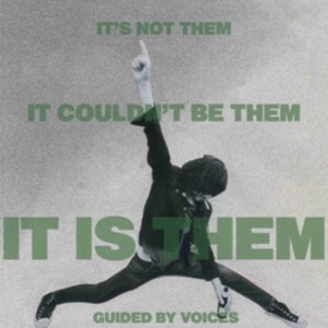 Guided By Voices - It's Not Them It Couldn't Be Them I in der Gruppe VINYL / Pop-Rock bei Bengans Skivbutik AB (4054061)